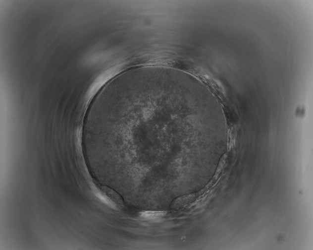 X0000101100051200807031800