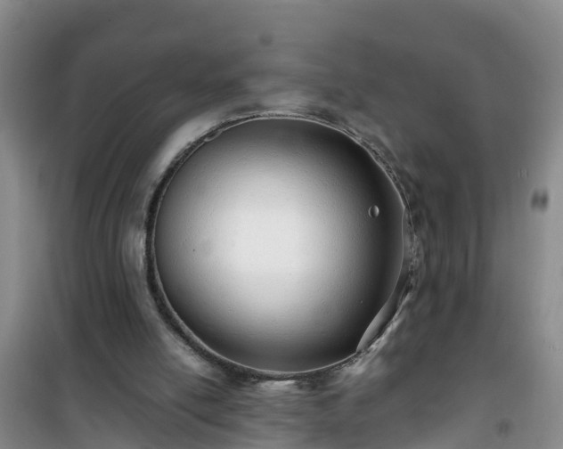 X0000101100054200807031800