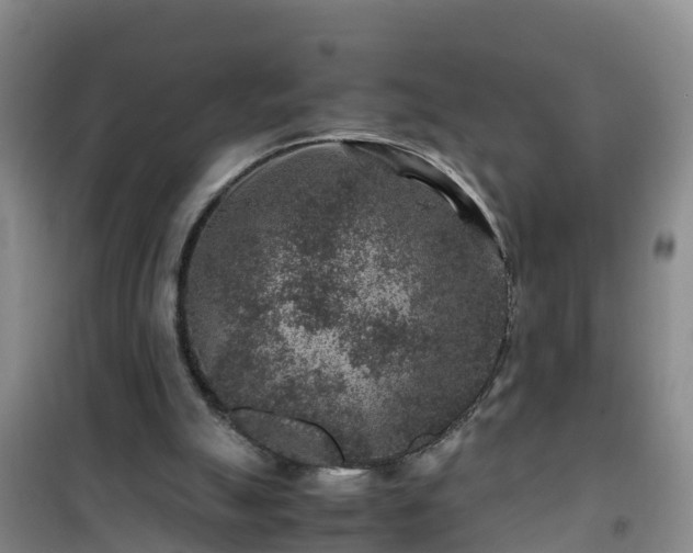 X0000101100055200807031800