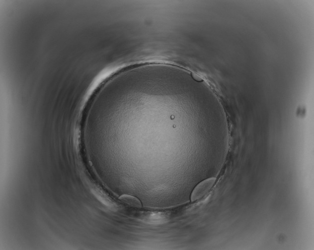 X0000101100056200807031800