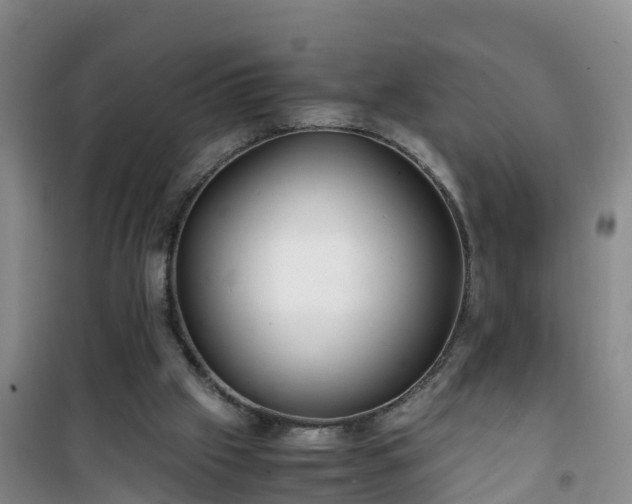 X0000101100057200807031800