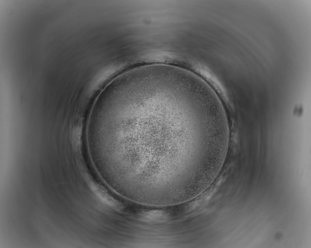 X0000101100058200807031800