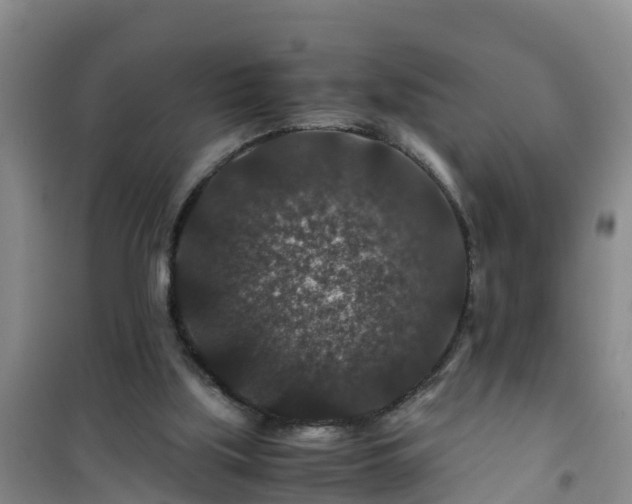 X0000101100059200807031800