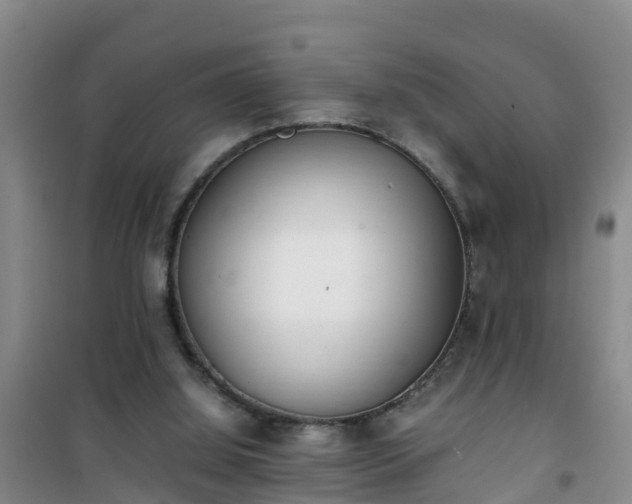 X0000101100060200807031800