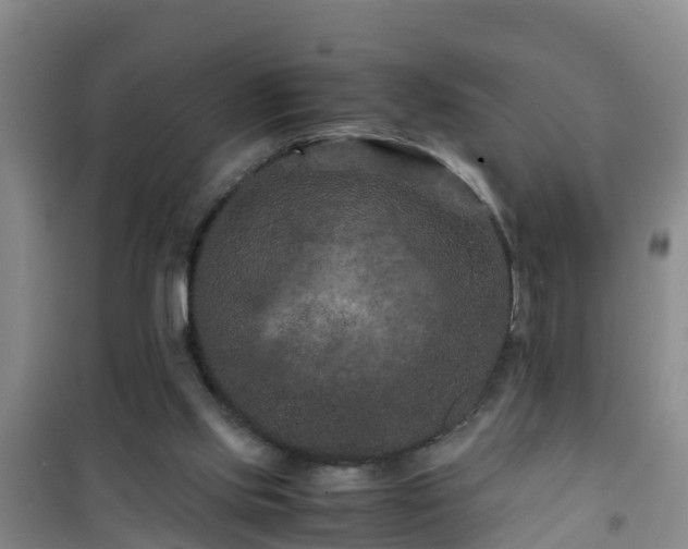 X0000101100061200807031800