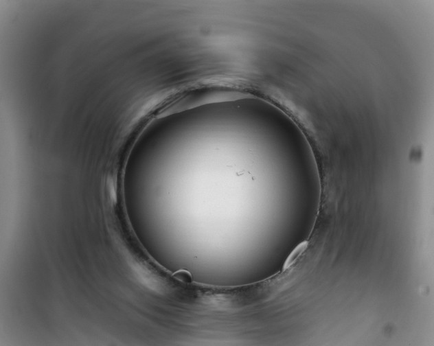 X0000101100062200807031800