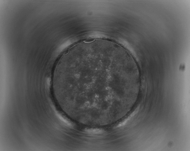 X0000101100063200807031800