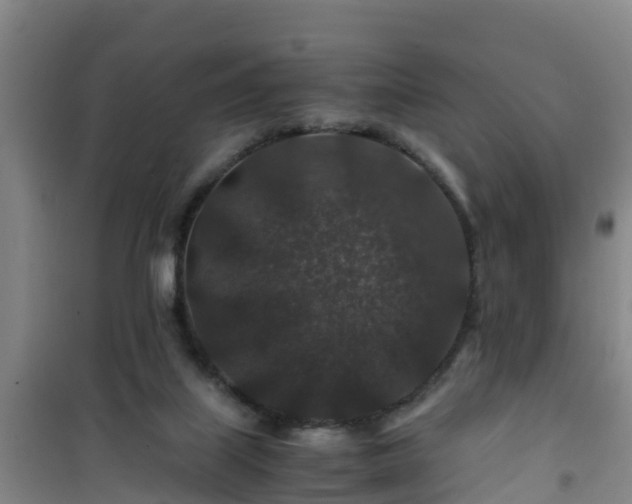 X0000101100067200807031800