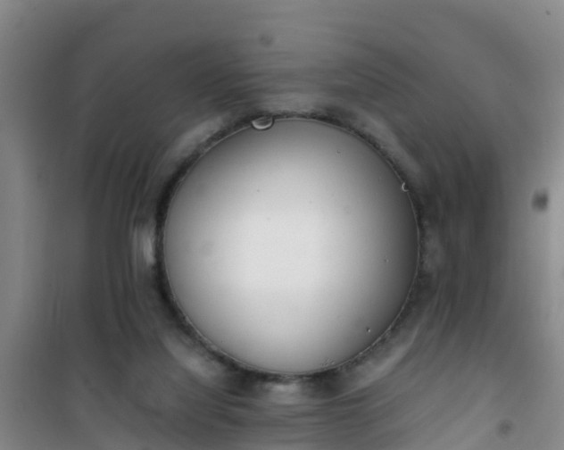 X0000101100068200807031800