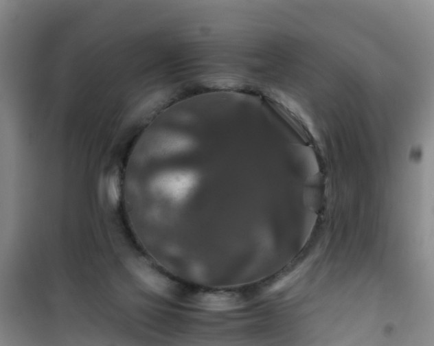 X0000101100069200807031800
