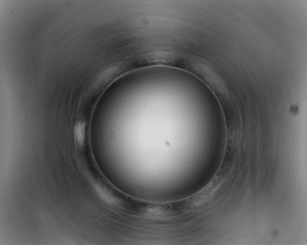 X0000101100070200807031800