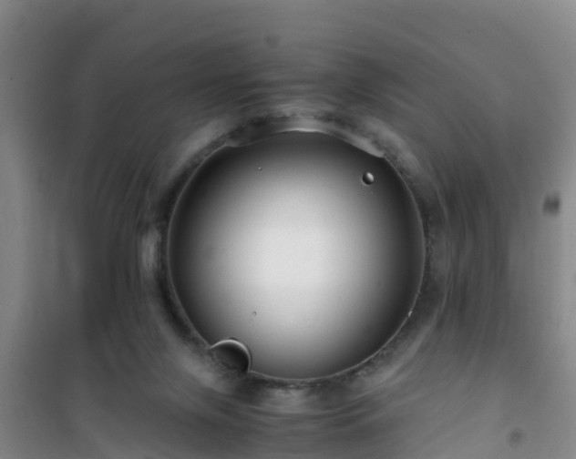 X0000101100071200807031800