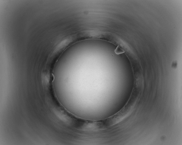 X0000101100072200807031800