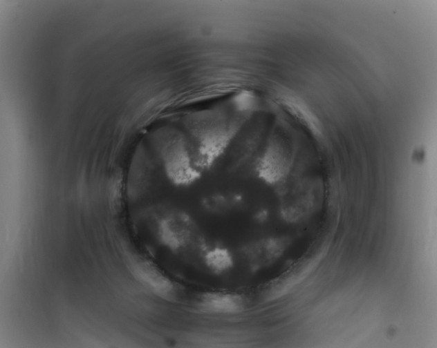 X0000101100073200807031800