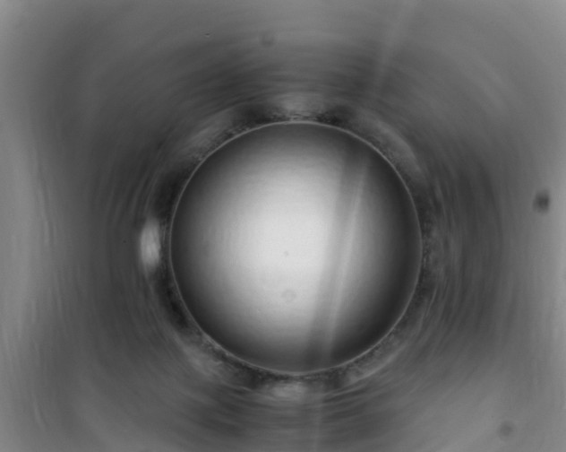 X0000101100075200807031800