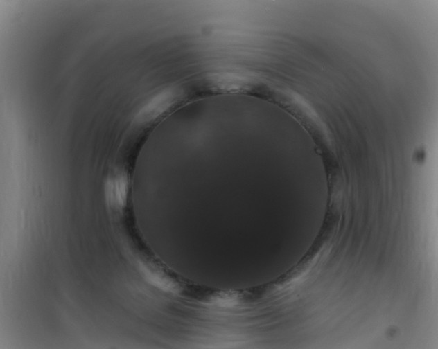 X0000101100076200807031800