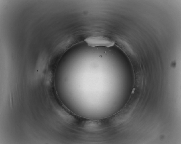 X0000101100077200807031800
