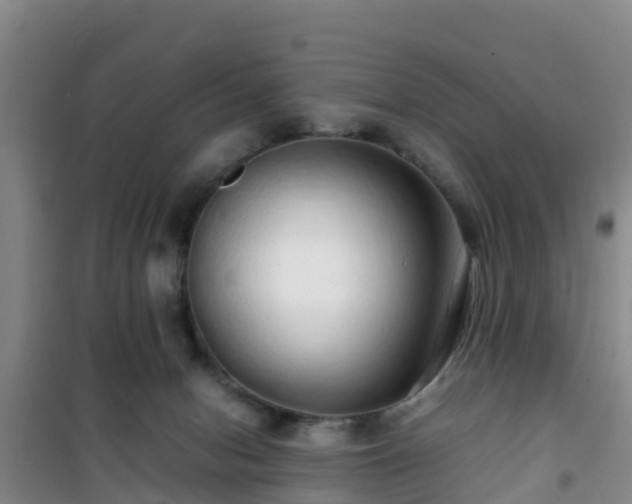 X0000101100078200807031800