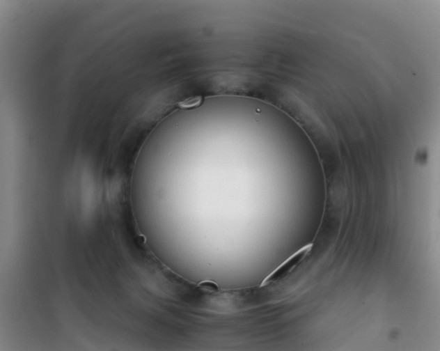 X0000101100079200807031800