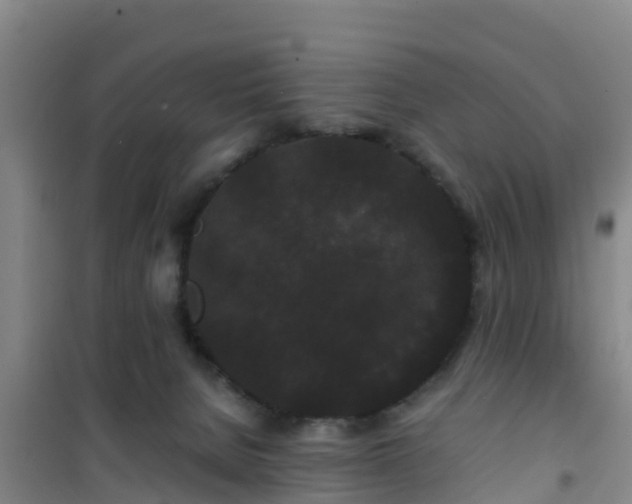 X0000101100080200807031800