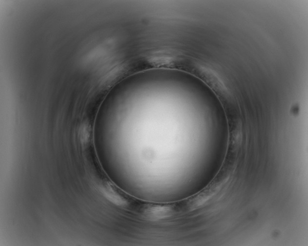 X0000101100081200807031800