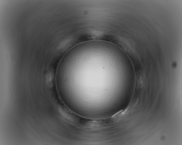 X0000101100082200807031800