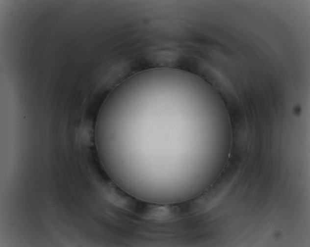 X0000101100083200807031800