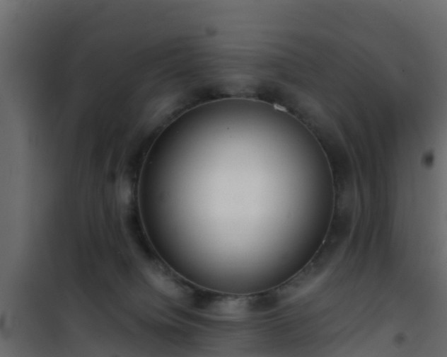 X0000101100084200807031800