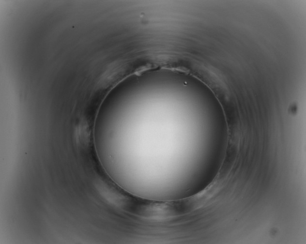 X0000101100086200807031800