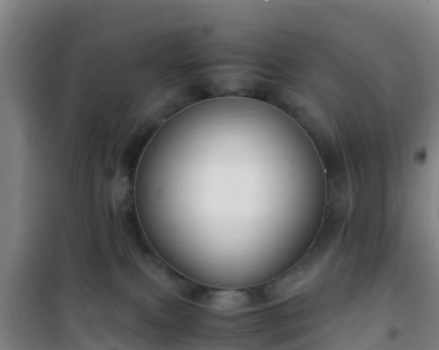 X0000101100087200807031800