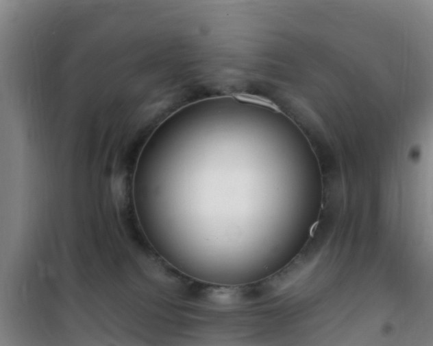 X0000101100088200807031800