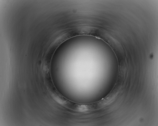 X0000101100091200807031800