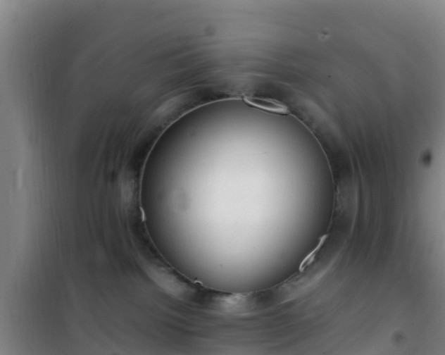 X0000101100092200807031800