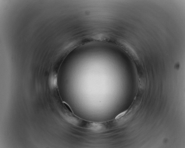X0000101100095200807031800