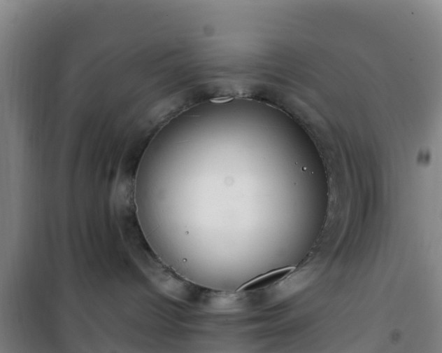 X0000101100096200807031800