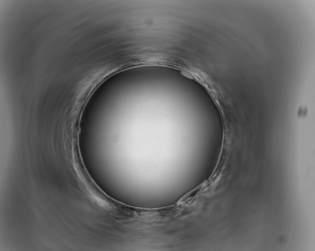 X0000101100097200807031800