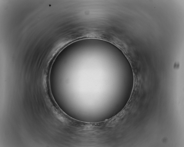 X0000101100098200807031800