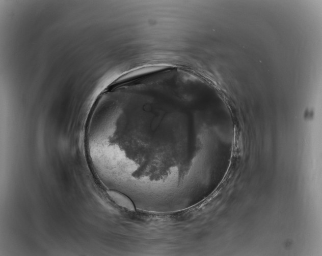 X0000101100099200807031800