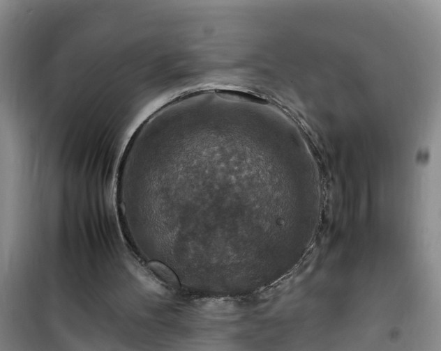 X0000101100100200807031800