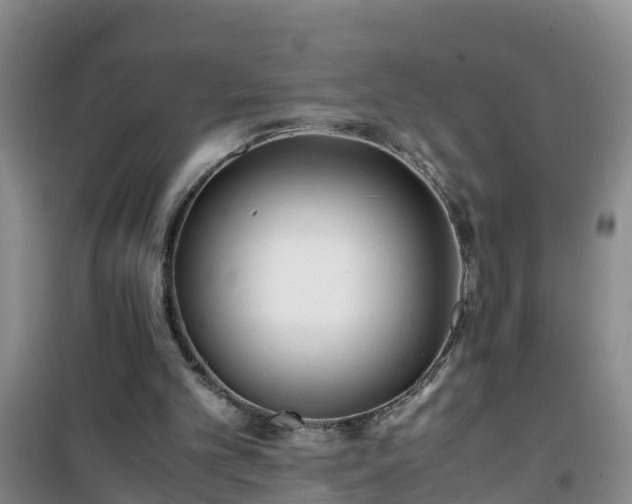 X0000101100101200807031800