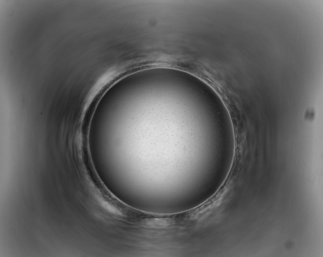 X0000101100102200807031800