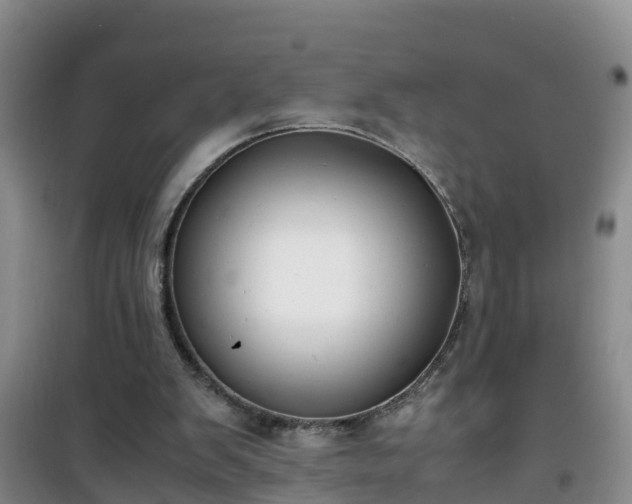 X0000101100103200807031800