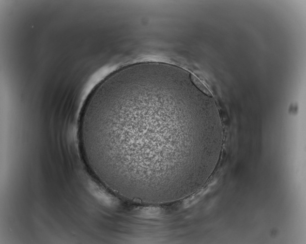 X0000101100104200807031800