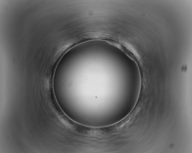 X0000101100105200807031800