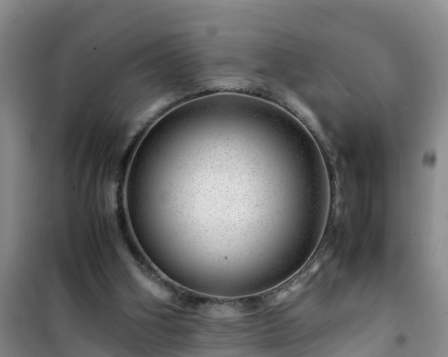 X0000101100106200807031800