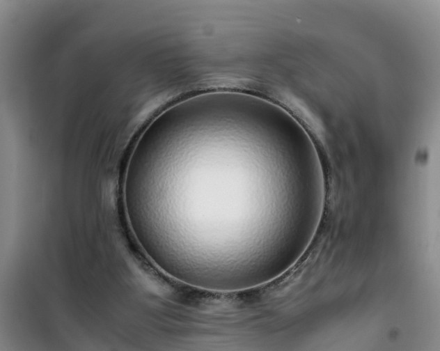 X0000101100107200807031759