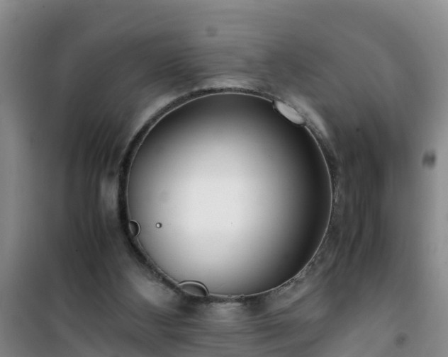 X0000101100108200807031759