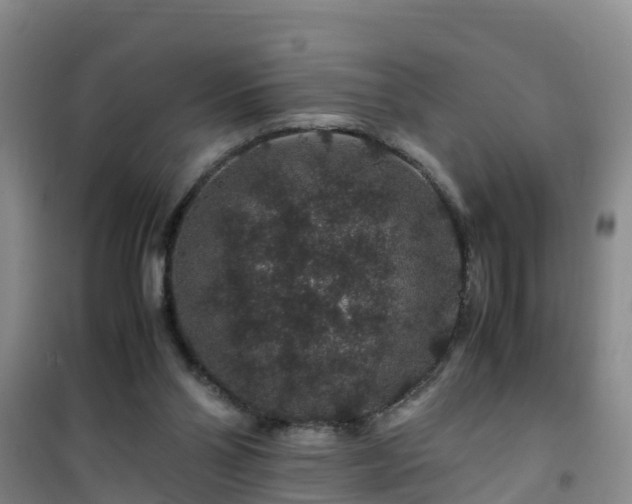X0000101100110200807031759