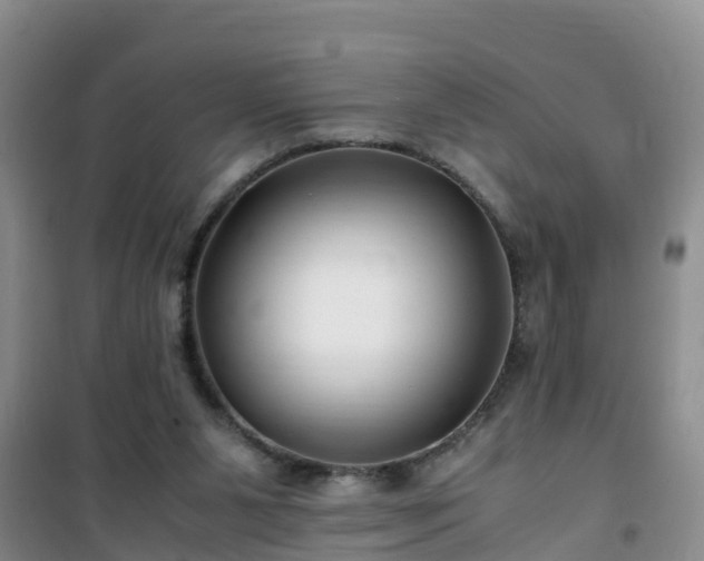 X0000101100111200807031759