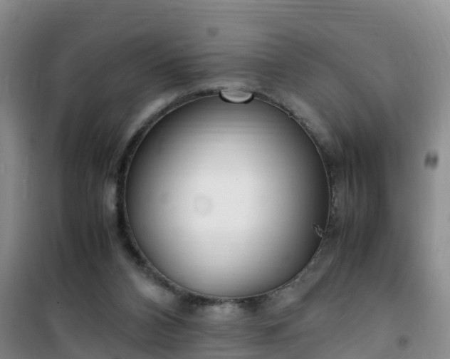 X0000101100112200807031759